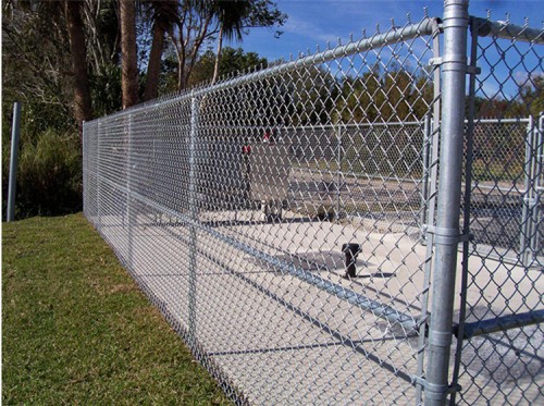 Galvanized Chain Link Fence