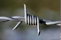 Barbed Wire