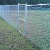 PVC Coated Chain Link fences
